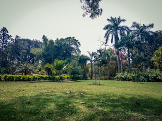 A vibrant green space maintained by liif obras & servicios.
