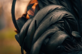 A close-up of intricate feather details on a bird.