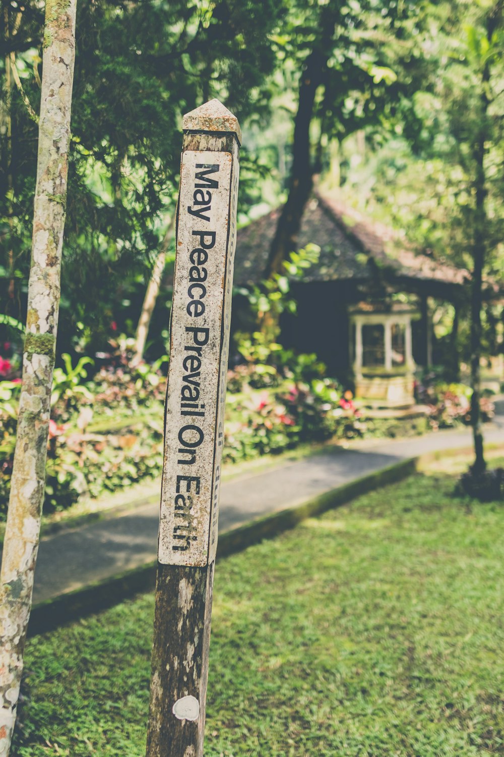 brown wooden post with may peace prevail on earth text