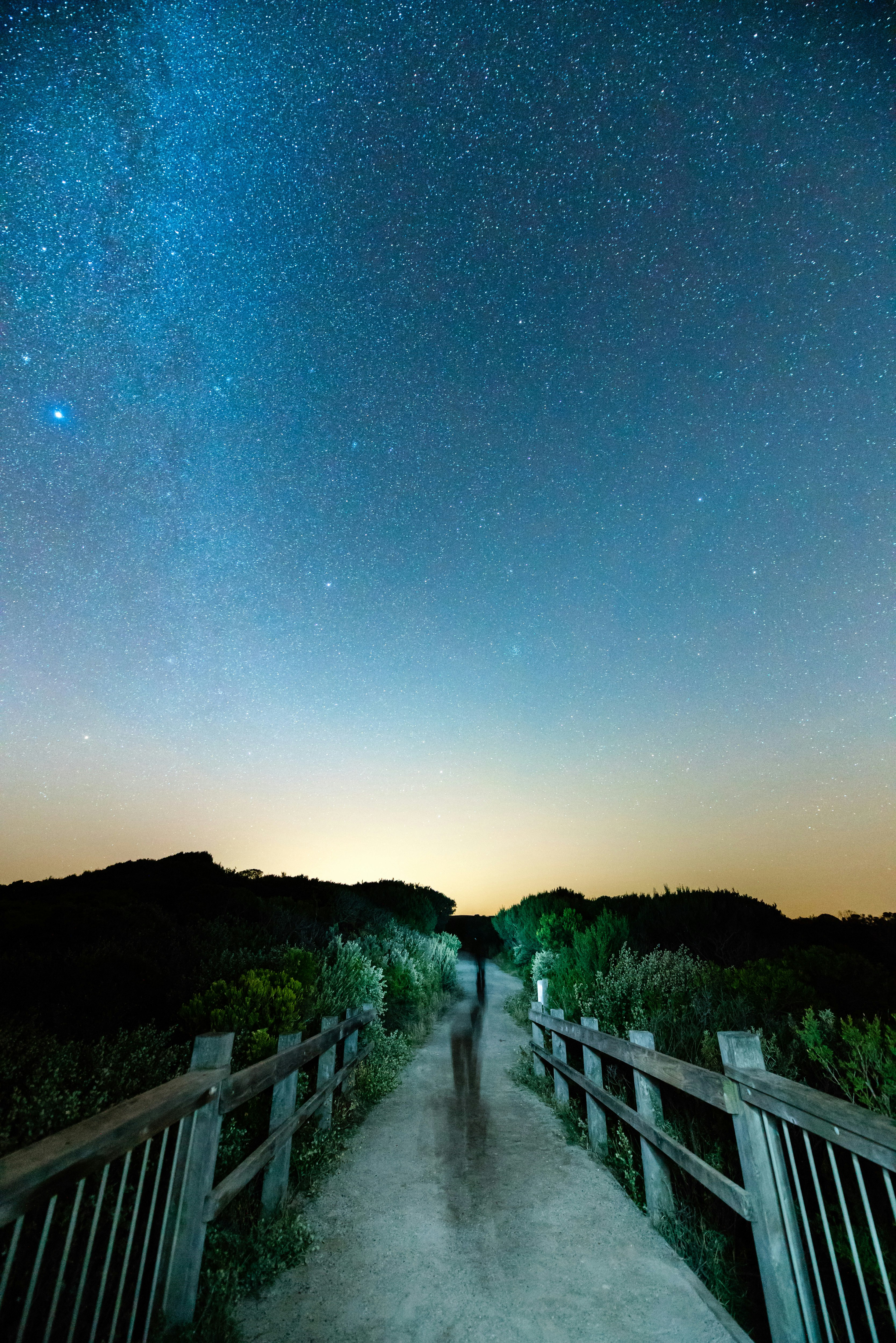 gray wooden bridge under night sky