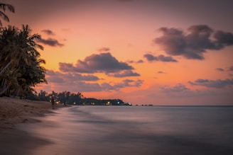 silhouette of trees near body of water painting