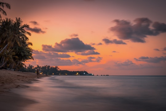 silhouette of trees near body of water painting in Ko Samui Thailand