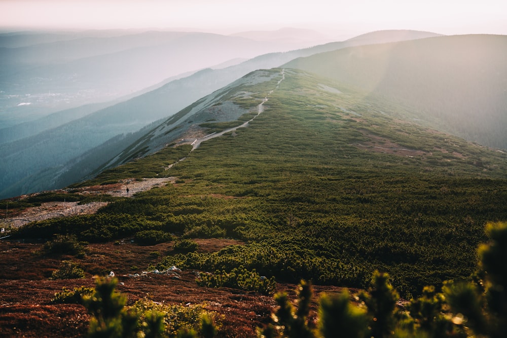 person taking photo of green mountain during sunrise