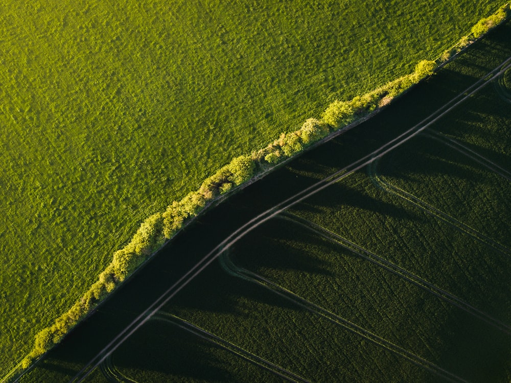 Foto de vista panorâmica do campo de grama verde