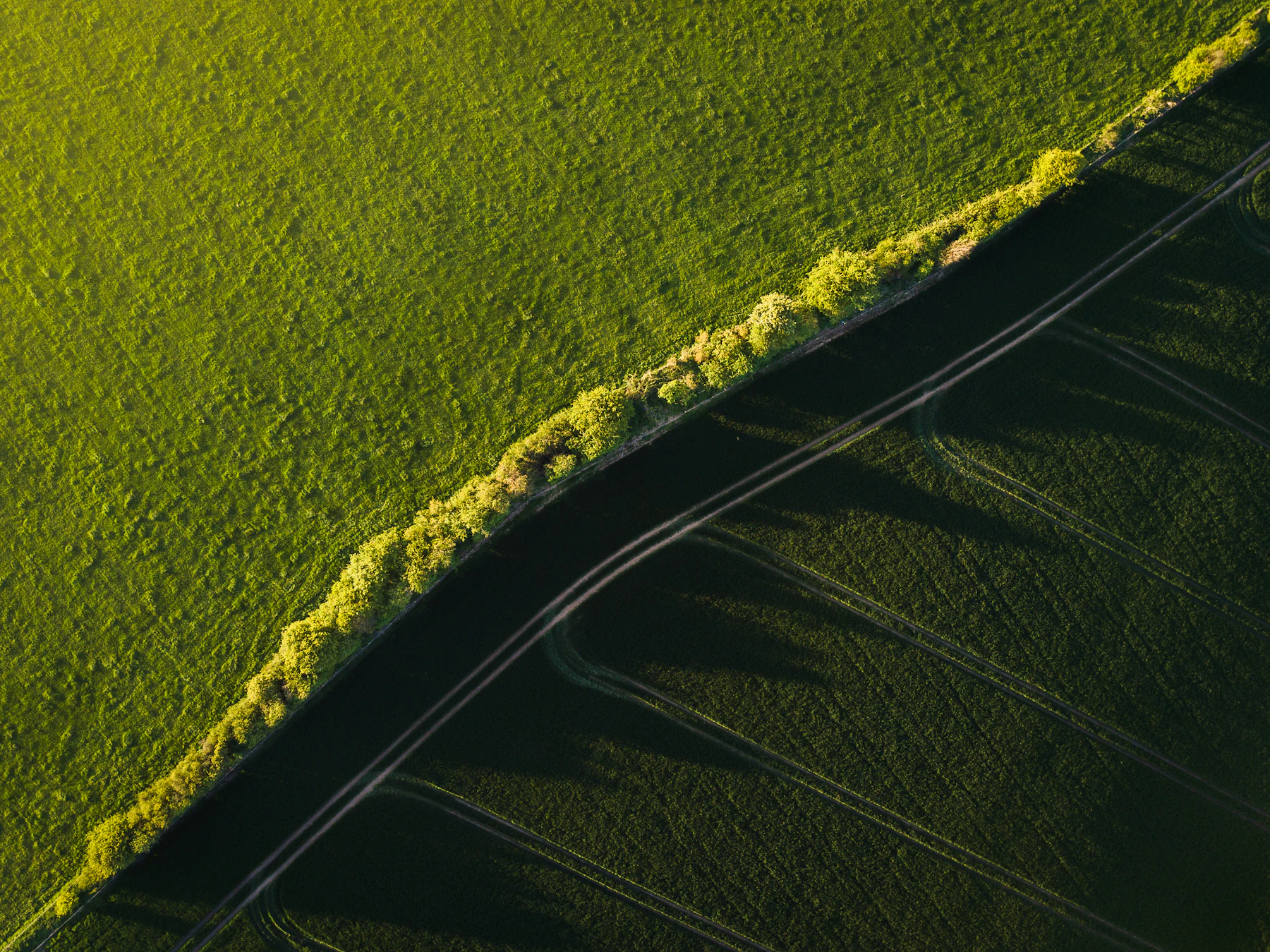Vista aérea de parcelas agrícolas verdes