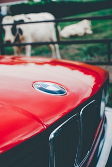 closeup photo of red BMW car