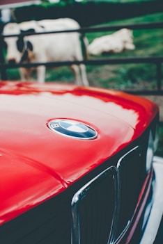 closeup photo of red BMW car