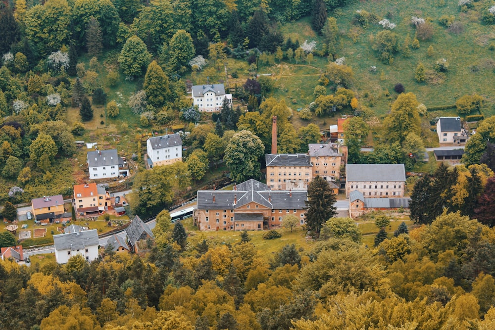 Luftaufnahme eines Dorfes in der Nähe von Bäumen