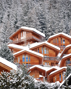 Cozy steel-frame chalets nestled among pine trees with snow-covered peaks in the background.