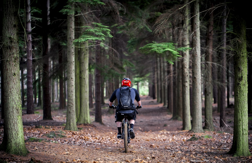 Person, die tagsüber mit dem Fahrrad Fahrrad fährt, umgeben von Bäumen
