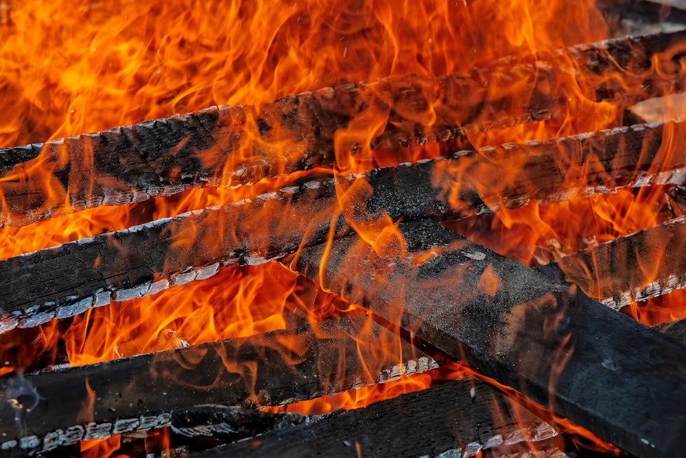 Flacos de madera ardiendo