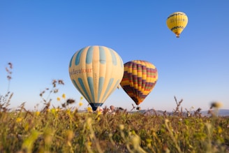 hot air balloons going to fly
