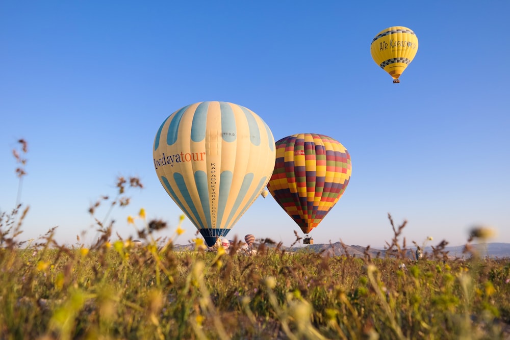hot air balloons going to fly