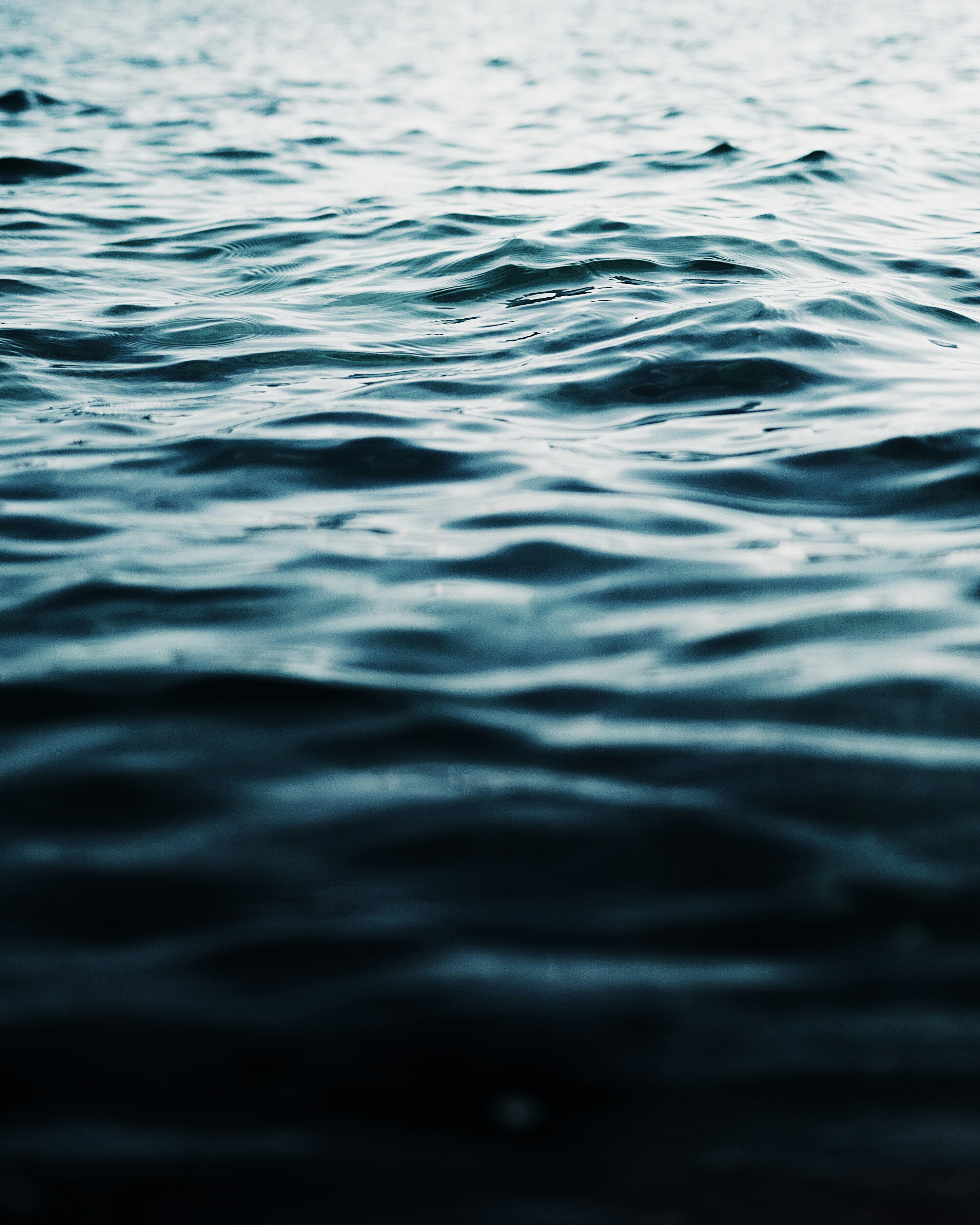 The Education Revolution: How Teaching Everyone to Read Changed Everything