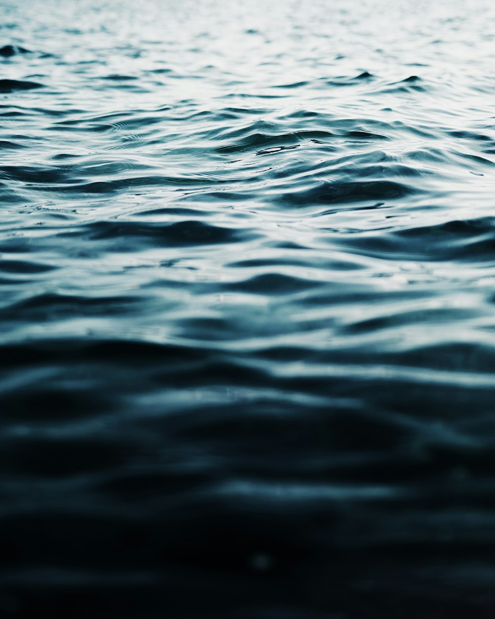 macro photograph of body of water