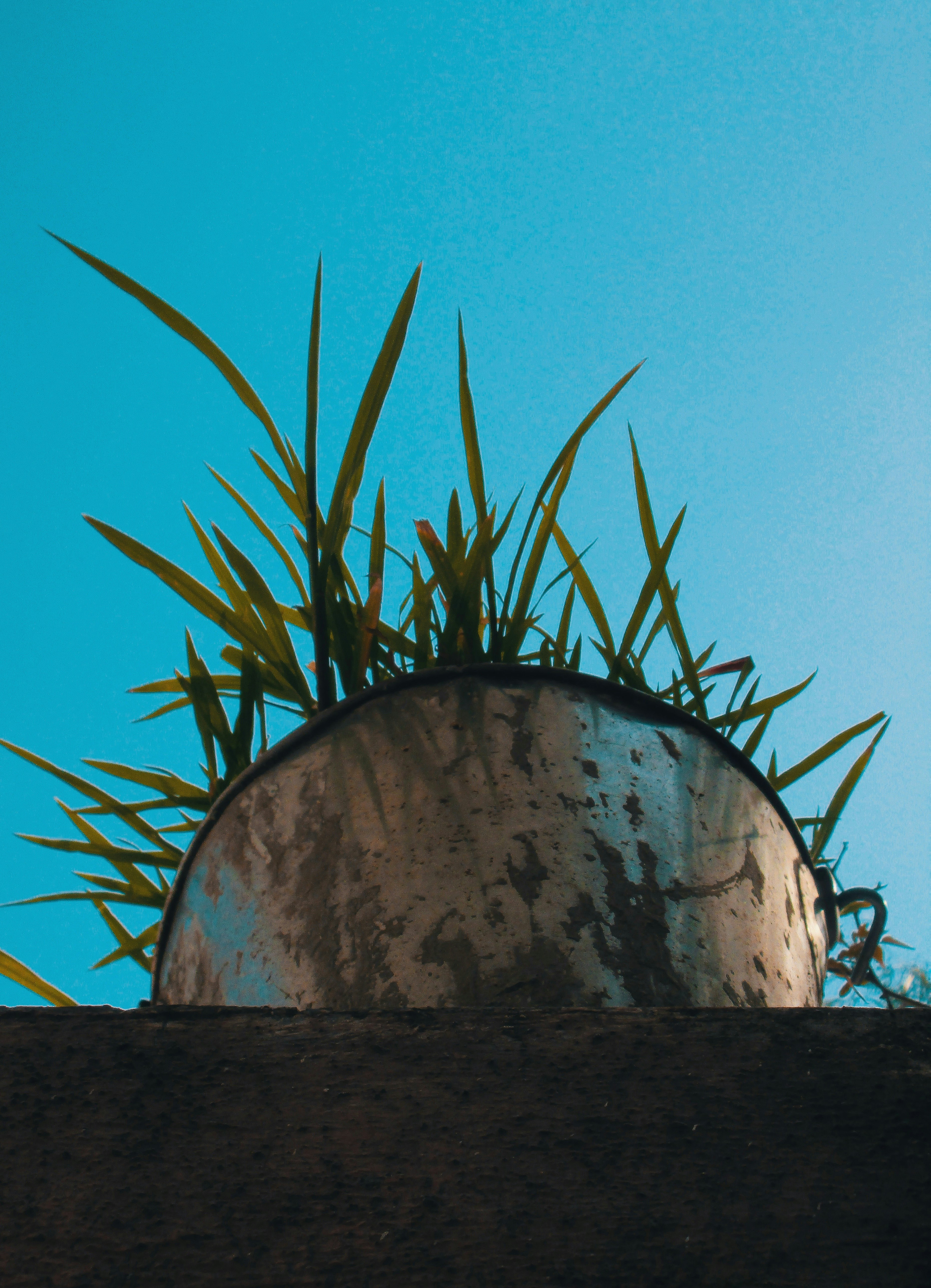 Rustic Metal Planter