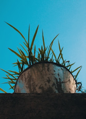 A sturdy blue water bucket filled with fresh water sitting on a wooden porch.