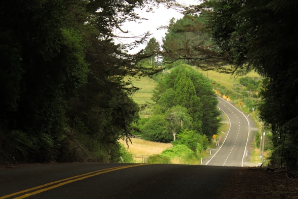 A scenic road winding through a lush green landscape.