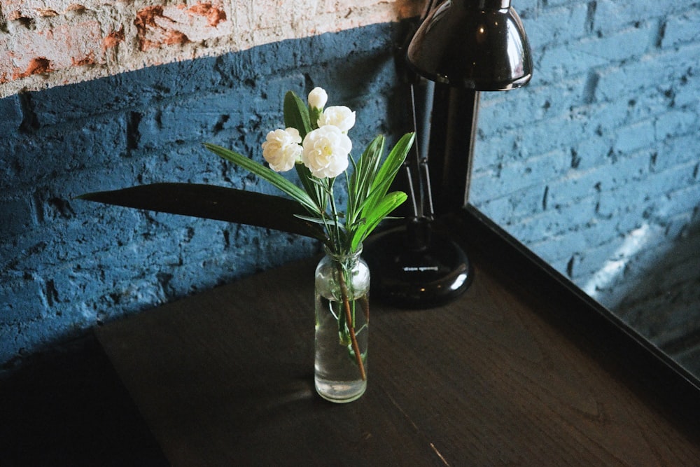 green leafed plant and white flowers in clear glass vase placed on brown wooden surface