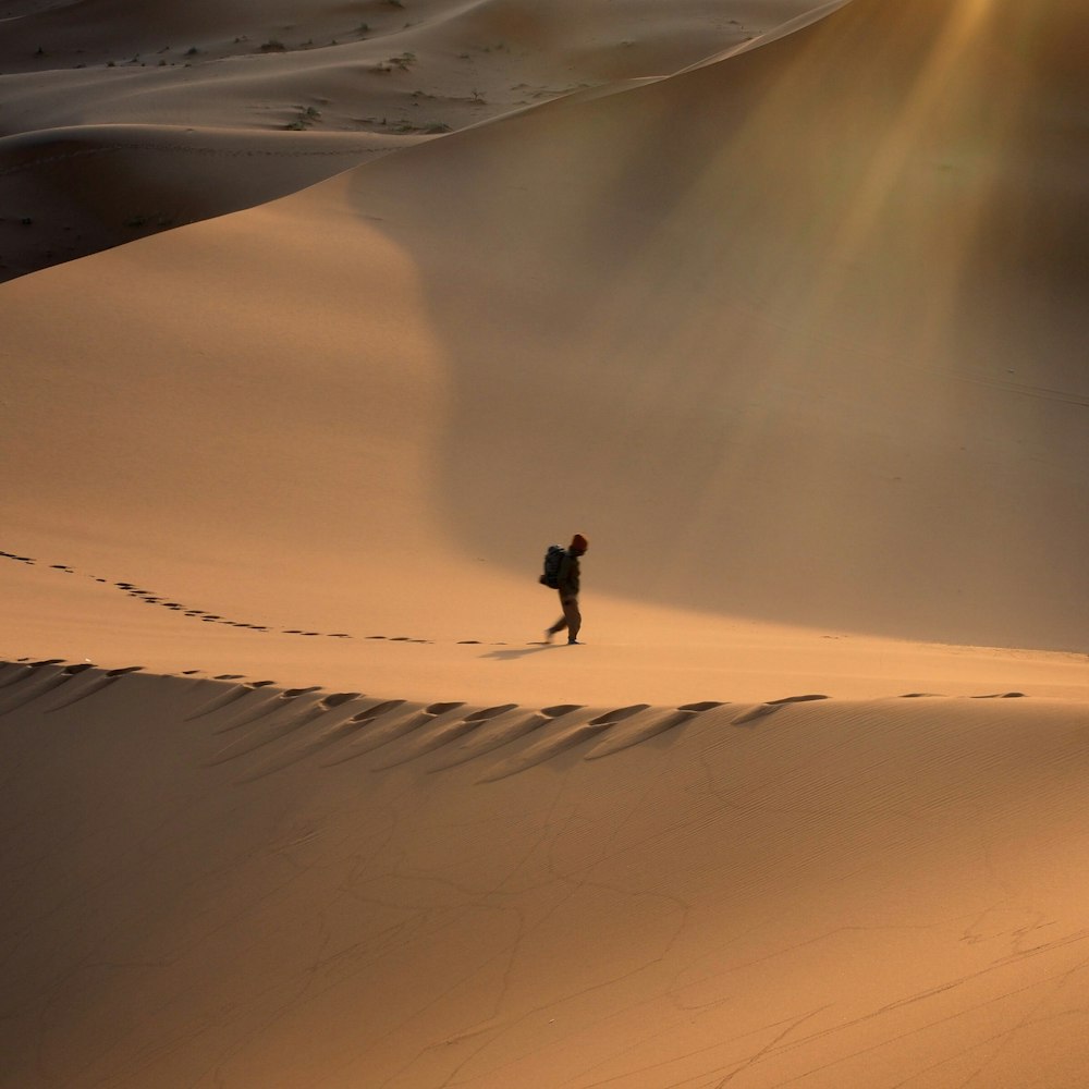 person walking in the desert