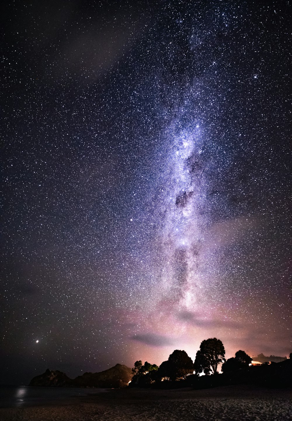 silhouette of tree during starry starry night