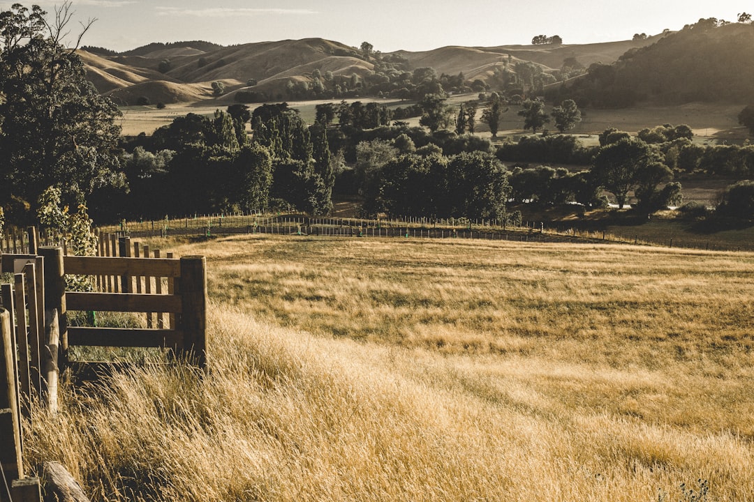 Ecoregion photo spot Te Mata Peak Taihape