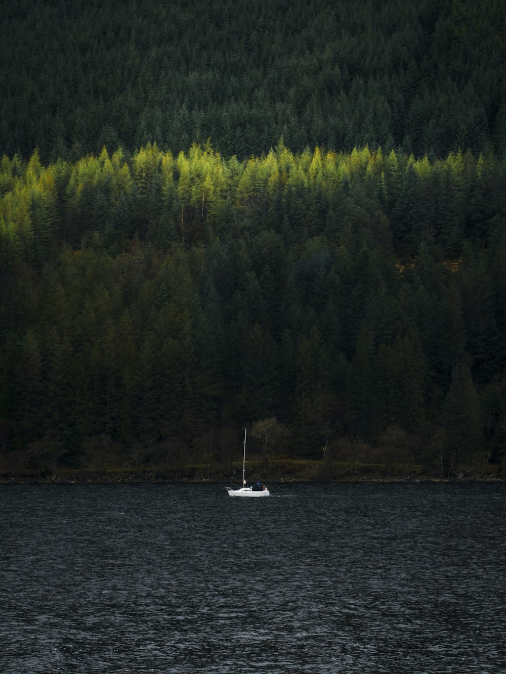sailing boat in body of water
