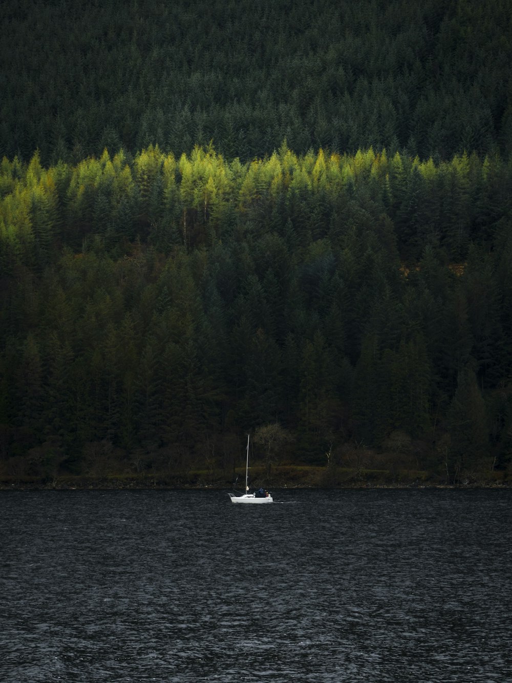 Segelboot im Gewässer