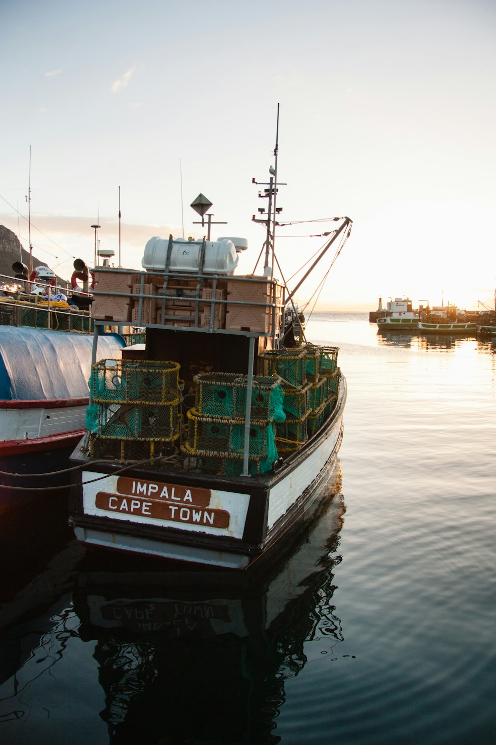 日の出時の水域に浮かぶ白と黒のイマパラケープタウン漁船