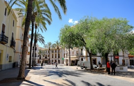 A sunny town square framed by palm trees and traditional architectural buildings. Shopfronts with outdoor seating are visible beneath a clear blue sky. People are casually walking and standing around, creating a relaxed, leisurely atmosphere.