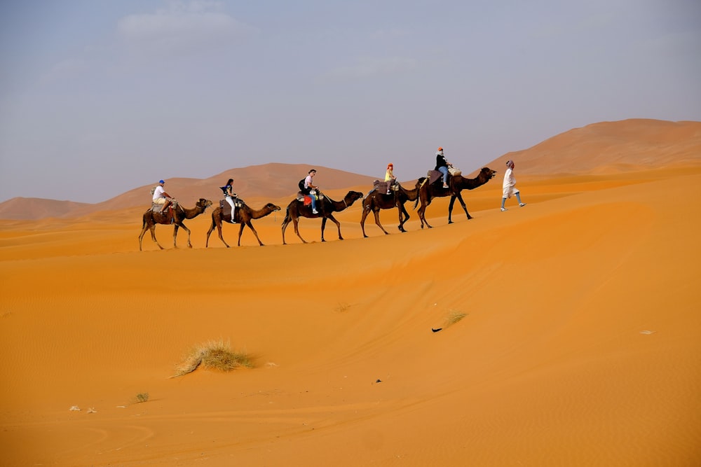 Landschaftsfoto von Menschen, die auf einem Kamel reiten