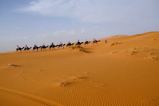 person riding on camel in Merzouga Morocco