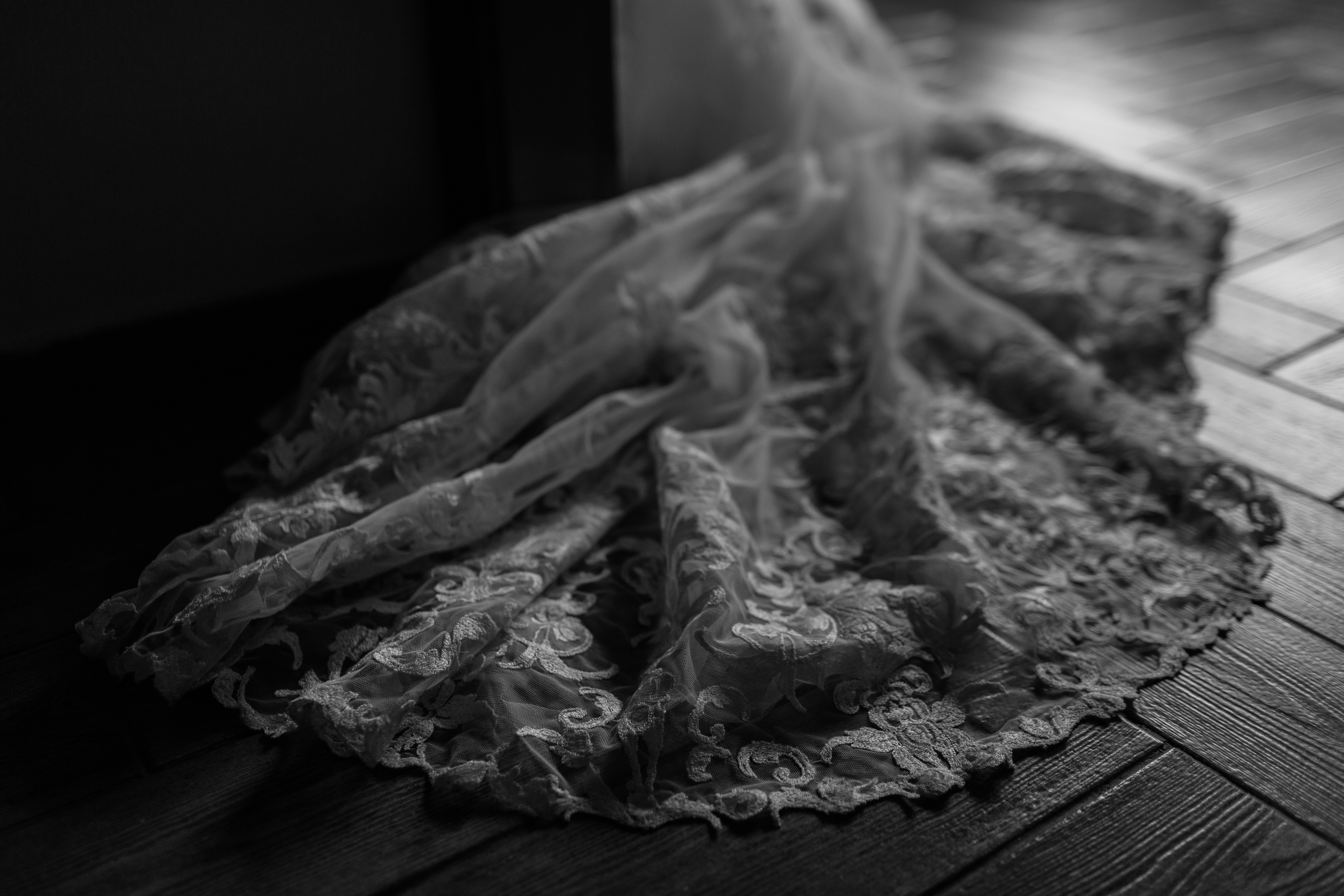 Tom The Photographer (@tomthephotographer) | Unsplash Photo Community