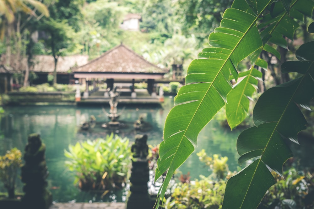 photographie de paysage de chalet au-dessus du plan d’eau