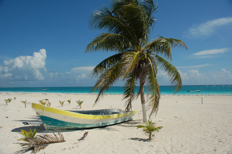 The image depicts a serene tropical beach scene with a small boat painted in yellow and blue colors resting on the sandy shore, facing towards the right side of the frame. The boat is positioned near a tall palm tree that stands out against the clear sky. In the background, there are several other boats visible further away from the main subject.