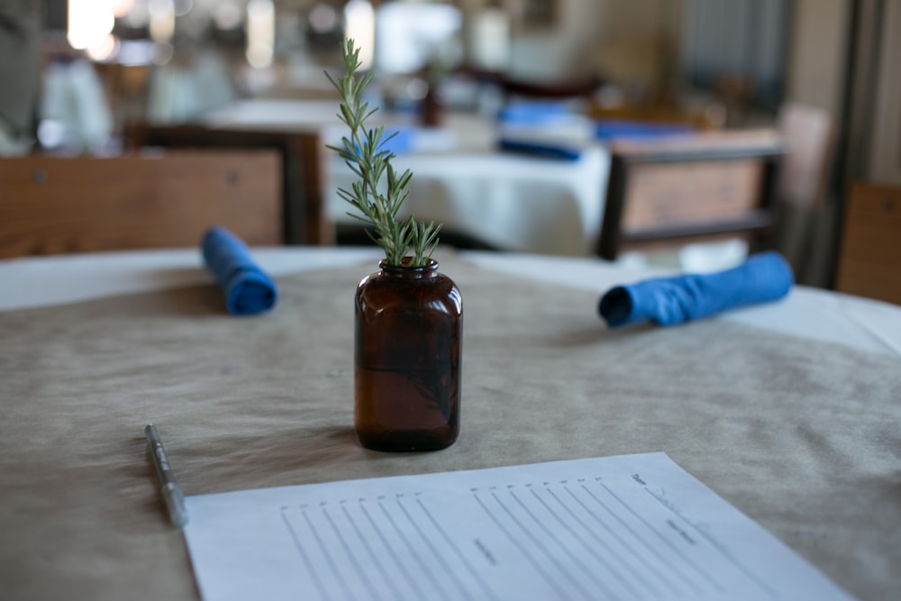 green plant in brown glass jar on white paper