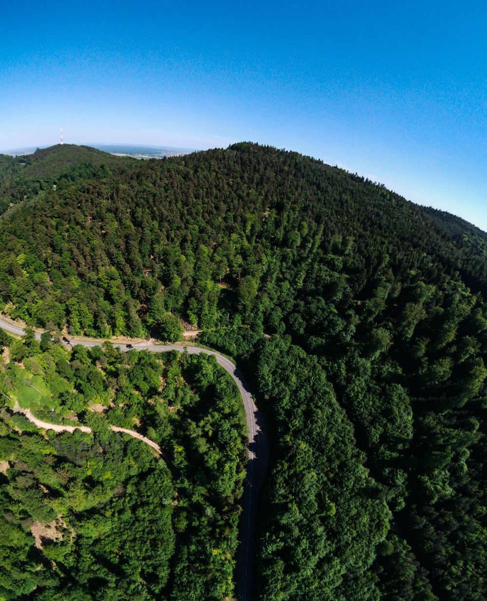 aerial view photography of green forest trees during daytime