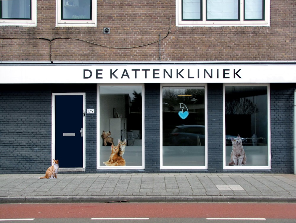 낮에 주황색과 흰색 고양이 옆에 있는 De Kattenklniek 매장