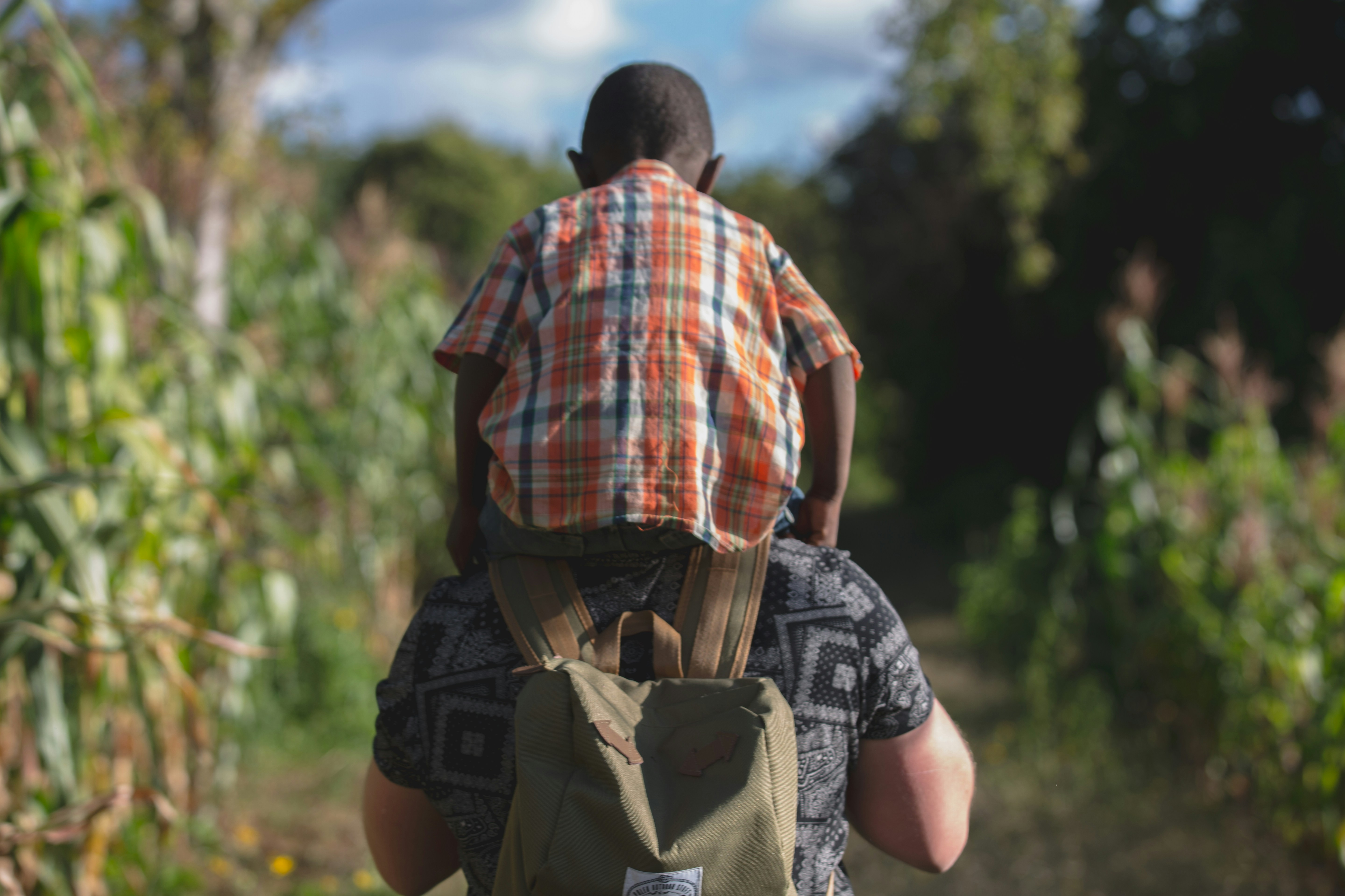 人在囧途1高清在线观看，人在囧途在线观看完整版