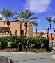 A person stands on a ladder trimming a tall hedge in front of a house with palm trees in the background. Another person sits on a balcony observing the scene. The sky is clear with a bright blue hue and scattered clouds.