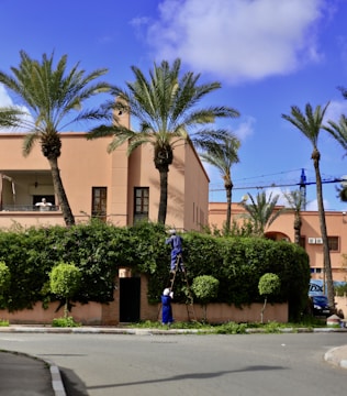 A person stands on a ladder trimming a tall hedge in front of a house with palm trees in the background. Another person sits on a balcony observing the scene. The sky is clear with a bright blue hue and scattered clouds.