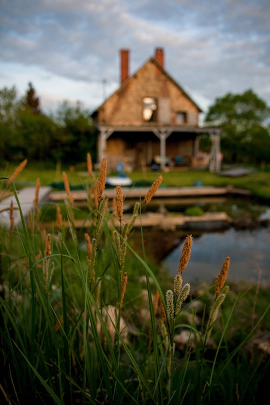 photo of Loir-et-Cher Cottage near Zoo de Beauval