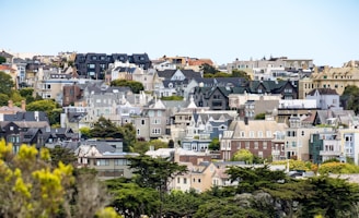 buildings during daytime