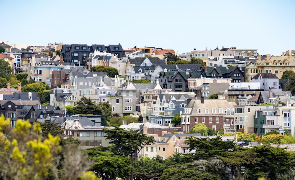 buildings during daytime