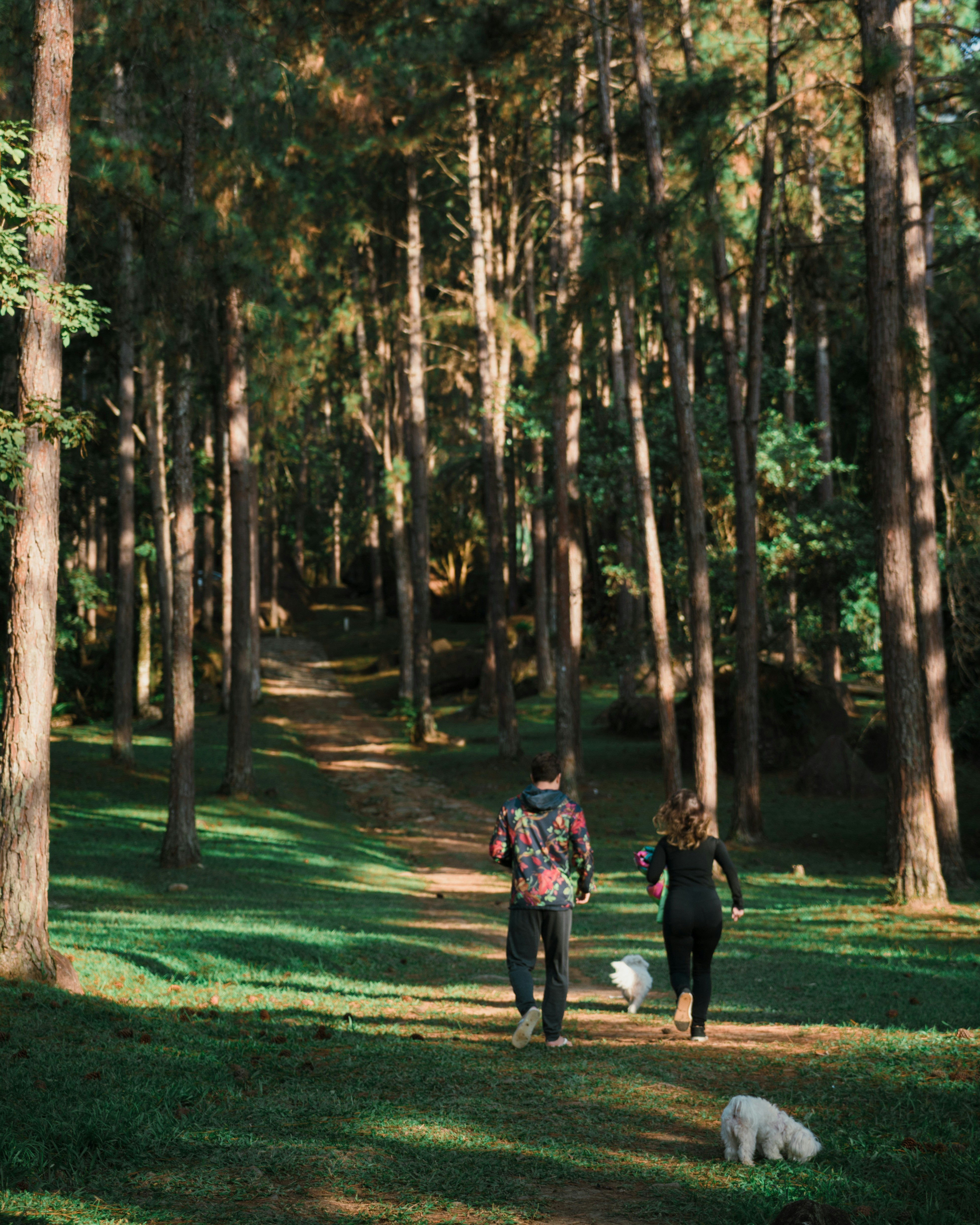 二孩开放人口有毒吗_人口普查(3)