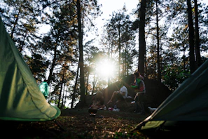 Families sitting on soft blankets in a sun-dappled forest clearing, listening intently to a tale being told.