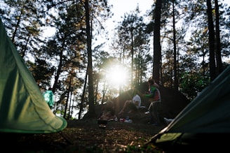 Participants sharing cacao medicine in a serene forest clearing under soft dappled light.