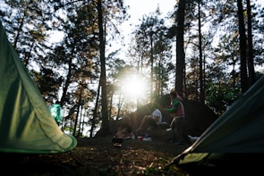 A group of campers singing worship songs together in a sunlit forest clearing