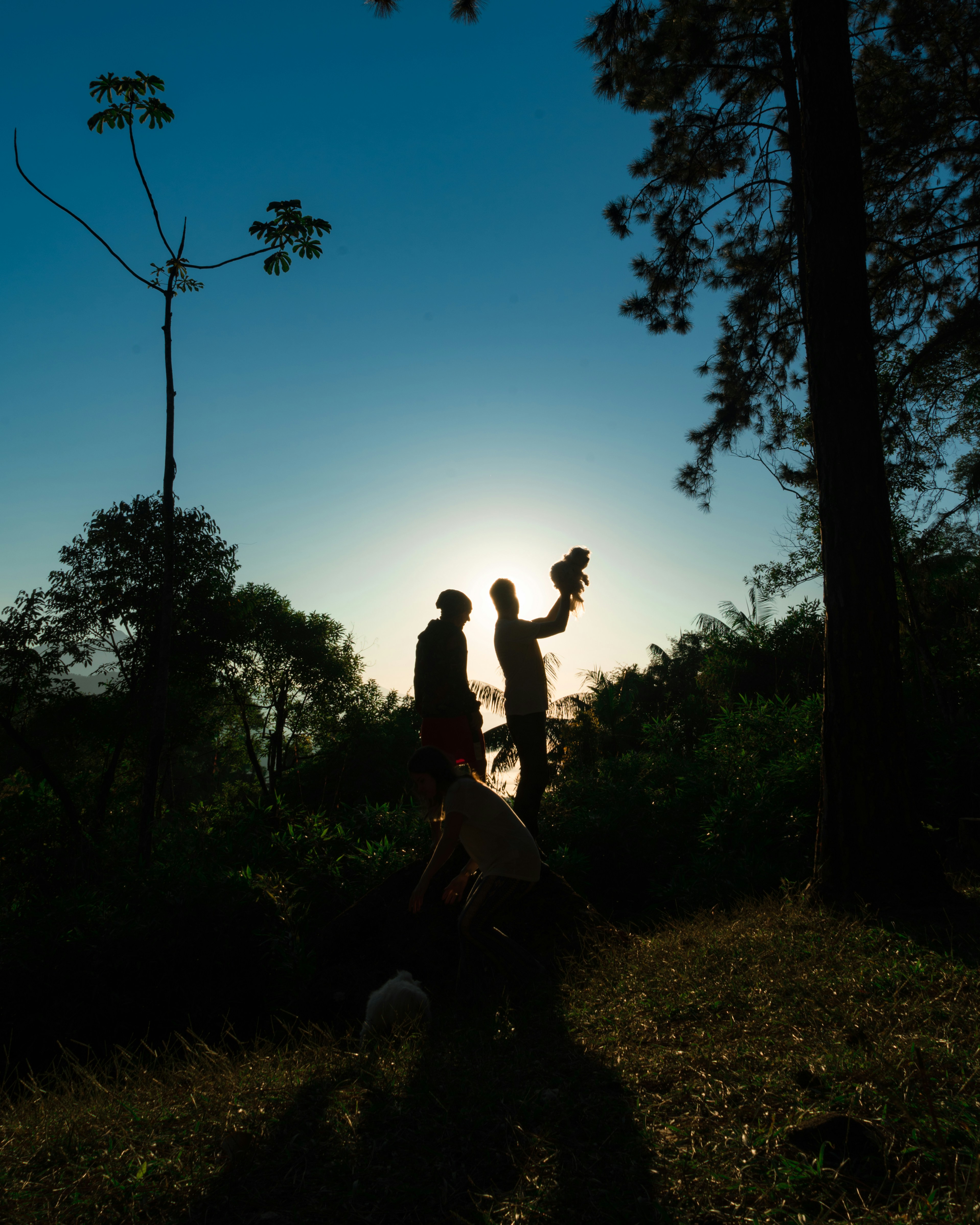不管友情爱情懂得珍惜的句子