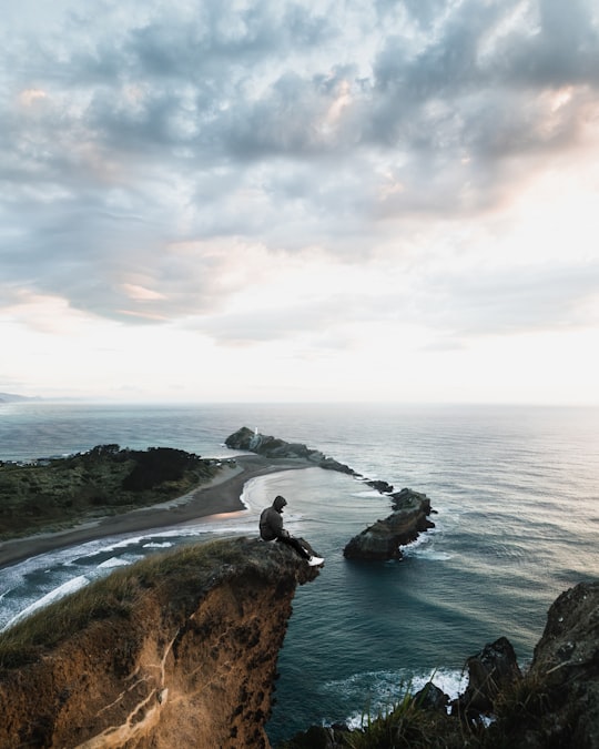 high angle photo of shore in Castlepoint New Zealand